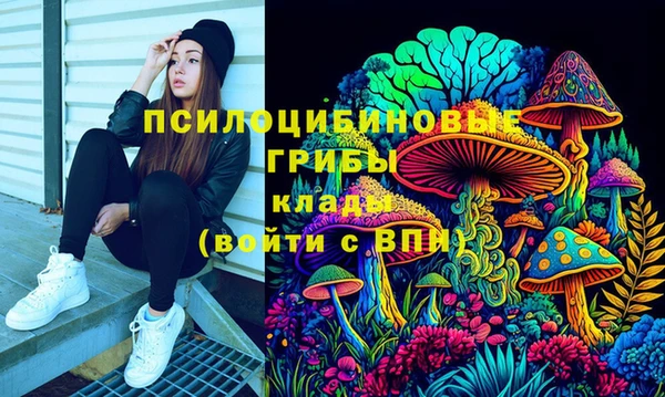 соль ск Алексин