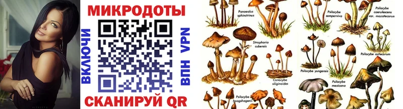 Псилоцибиновые грибы Psilocybine cubensis  ОМГ ОМГ маркетплейс  Качканар 